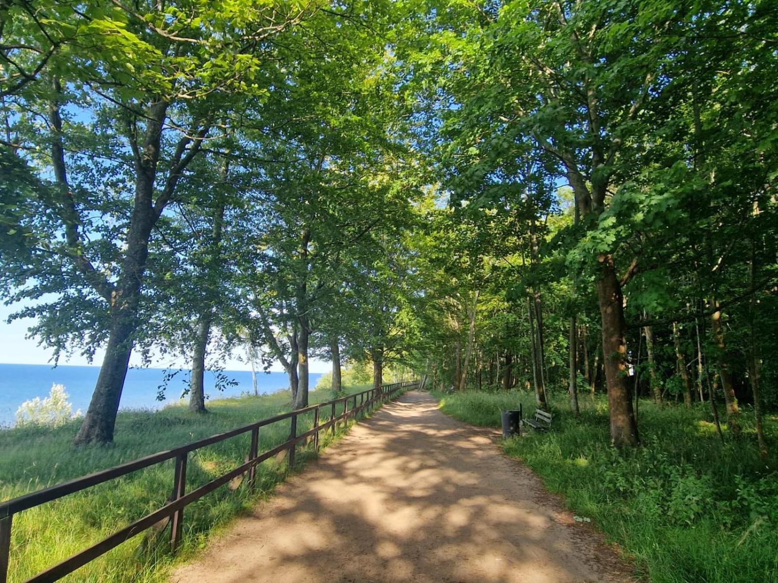 Osrodek Promenada- Faleza Jastrzębia Góra Exterior foto